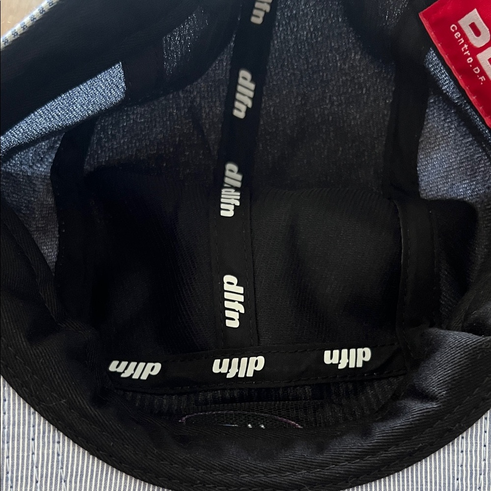 DLFN Gray Striped 5-Panel Cap - Picture 4 of 4